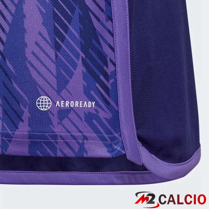 Maglie Calcio Argentina Seconda Porpora Coppa del Mondo 2022