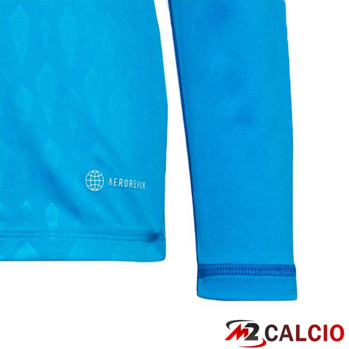 Maglia Germania Portiere Maniche Lunghe Blu Coppa del Mondo 2022
