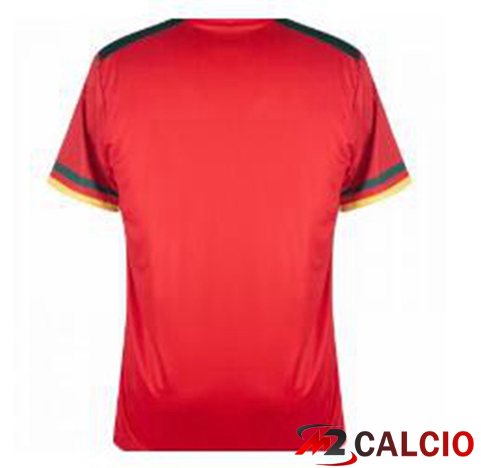 Maglie Calcio Camerun Terza Rosso Verde Coppa Del Mondo 2022