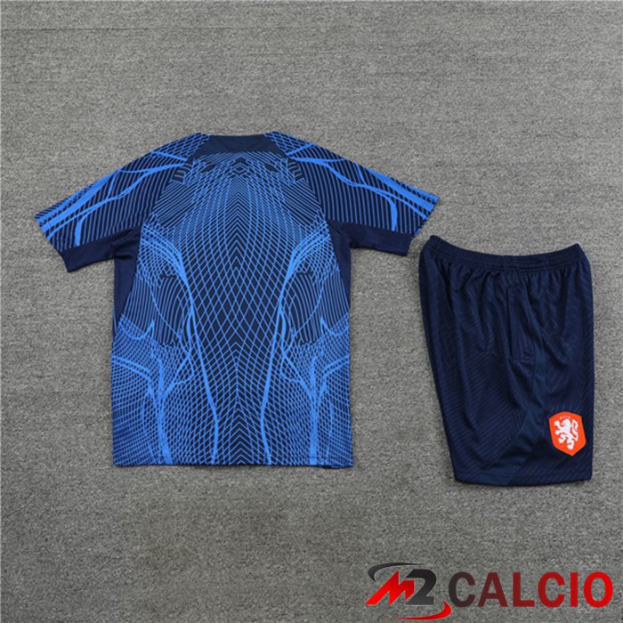 T Shirt Allenamento Paesi Bassi + Pantaloncini Blu Reale 2022/2023