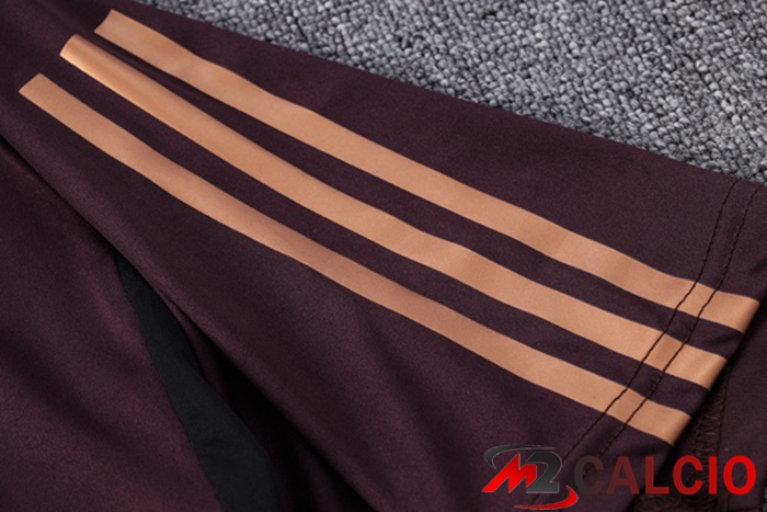 T Shirt Allenamento Germania + Pantaloni Rosso 2023/2024