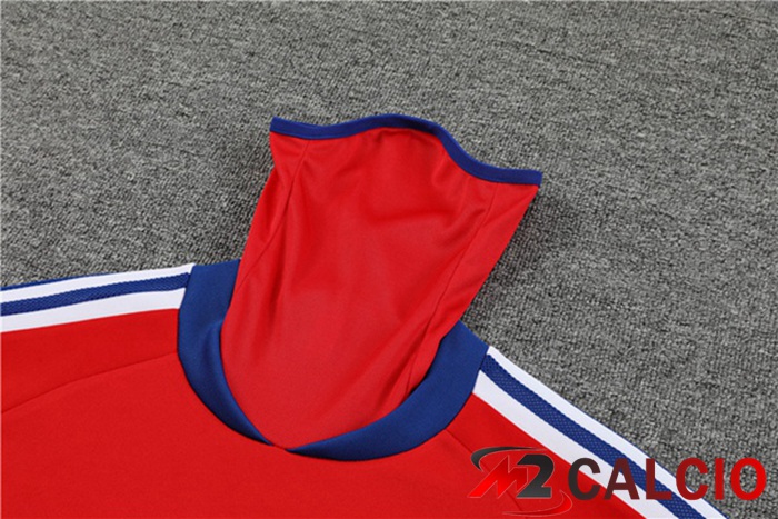 Insieme Tuta Calcio Bayern Monaco Collo alto Rosso 2023/2024
