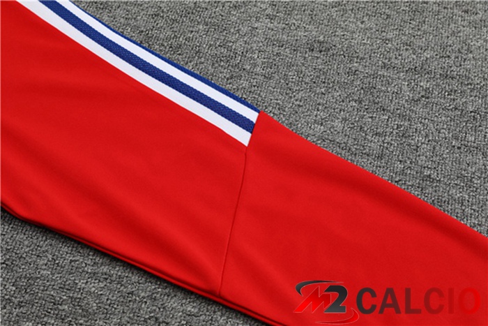 Insieme Tuta Calcio Bayern Monaco Collo alto Rosso 2023/2024