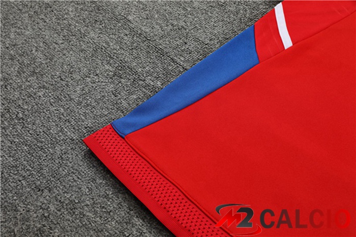 Insieme Tuta Calcio Bayern Monaco Collo alto Rosso 2023/2024