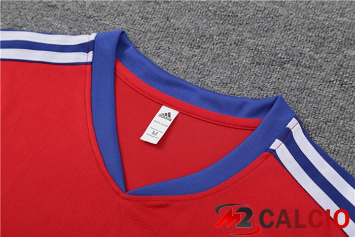 T Shirt Allenamento Bayern Monaco + Pantaloncini Rosso 2023/2024