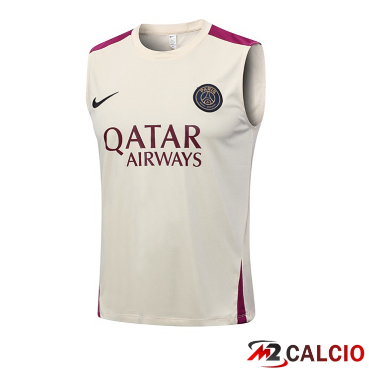Maglie Calcio Personalizzate,Tute Calcio Squadre,Maglia Nazionale Italiana Calcio | Canotta Calcio FC Barcellona Marrone 2023/2024
