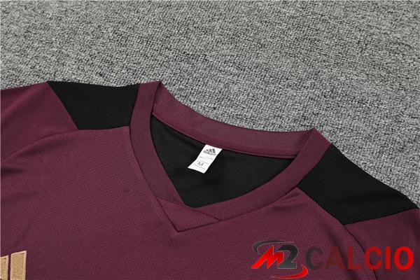 T Shirt Allenamento Germania + Pantaloncini Rosso 2023/2024