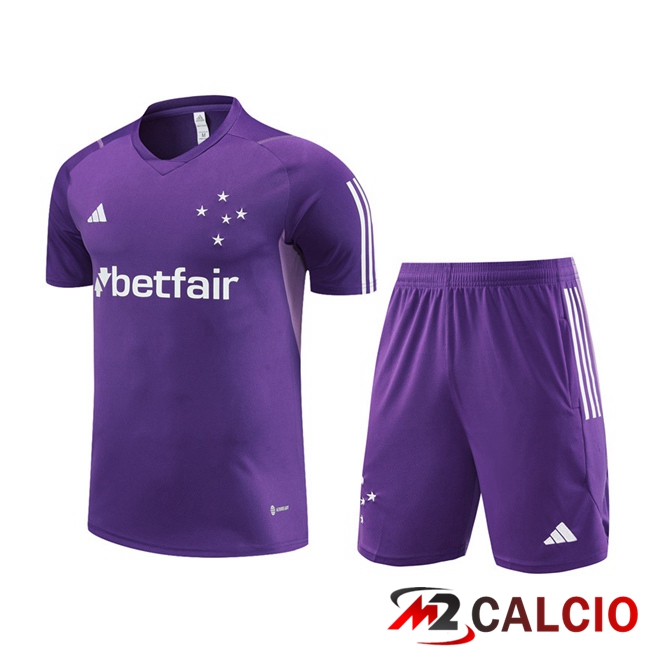 Maglie Calcio Personalizzate,Tute Calcio Squadre,Maglia Nazionale Italiana Calcio | T Shirt Allenamento Cruzeiro EC + Pantaloncini Viola 2023/2024
