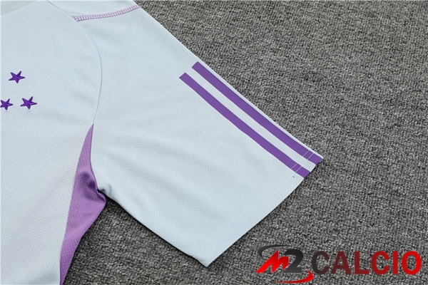 T Shirt Allenamento Cruzeiro EC + Pantaloncini Grigio 2023/2024