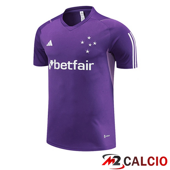 Maglie Calcio Personalizzate,Tute Calcio Squadre,Maglia Nazionale Italiana Calcio | T Shirt Allenamento Cruzeiro EC Viola 2023/2024