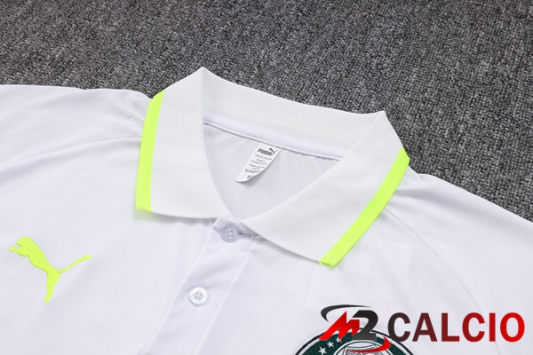 Maglia Polo Palmeiras + Pantaloni Grigio 2023/2024