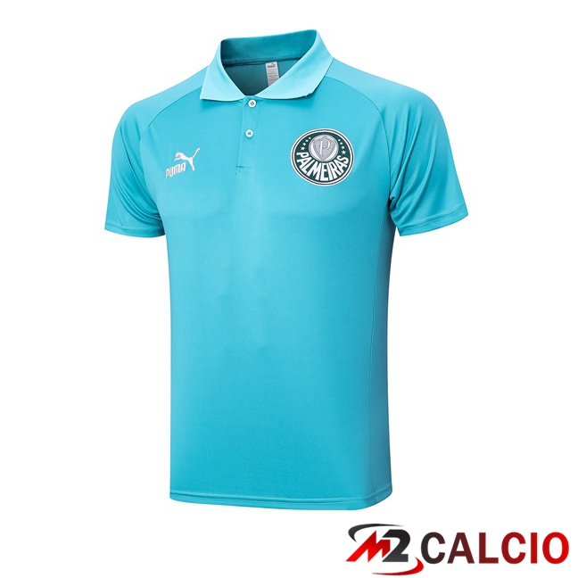 Maglie Calcio Personalizzate,Tute Calcio Squadre,Maglia Nazionale Italiana Calcio | Maglia Polo Palmeiras Verde 2023/2024