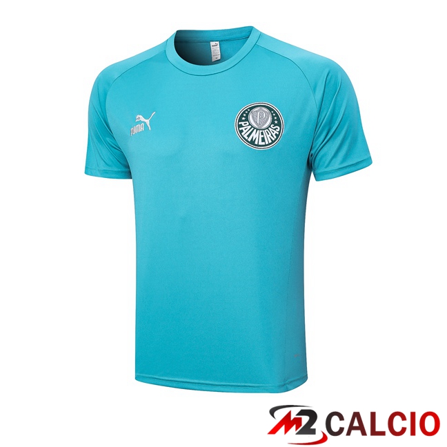 Maglie Calcio Personalizzate,Tute Calcio Squadre,Maglia Nazionale Italiana Calcio | T Shirt Allenamento Palmeiras Cyan 2023/2024