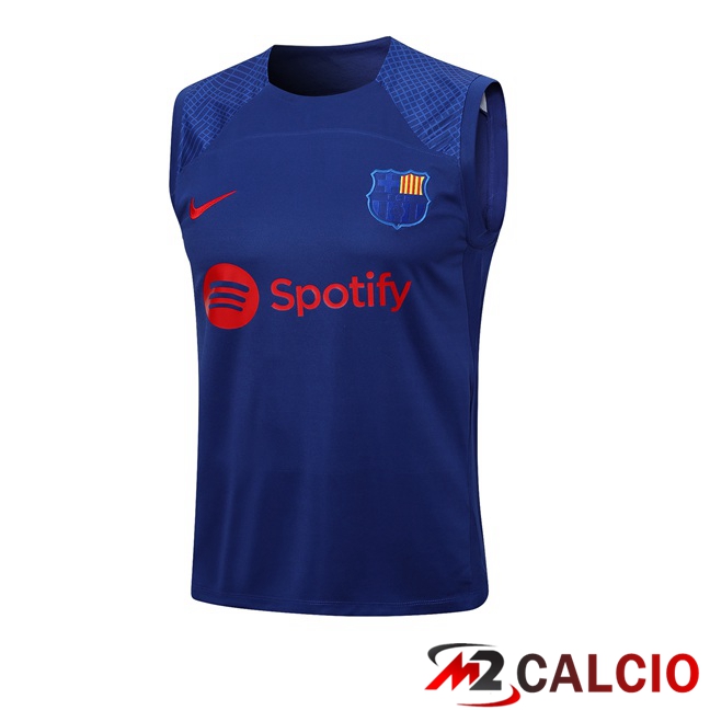 Maglie Calcio Personalizzate,Tute Calcio Squadre,Maglia Nazionale Italiana Calcio | Canotta Calcio FC Barcellona Blu 2023/2024