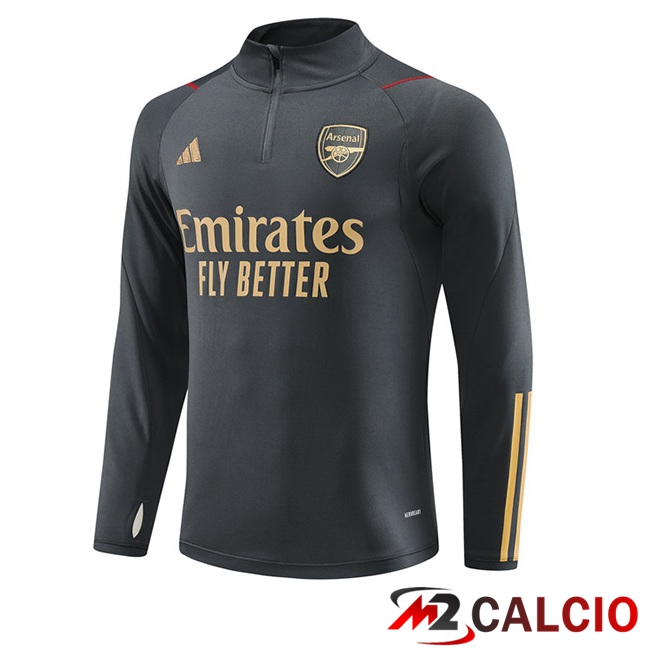 Felpa Allenamento Arsenal Grigio 2023/2024