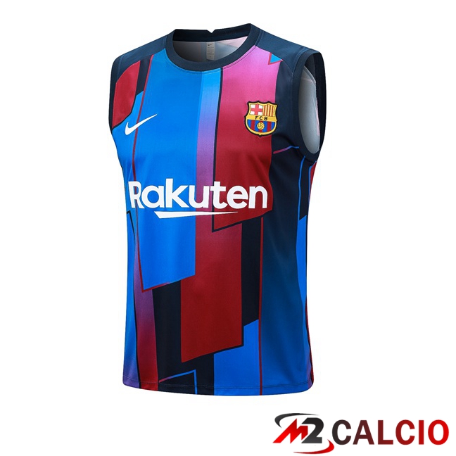 Maglie Calcio Personalizzate,Tute Calcio Squadre,Maglia Nazionale Italiana Calcio | Canotta Calcio FC Barcellona Blu 2023/2024