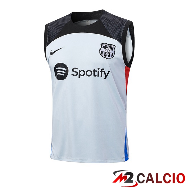 Maglie Calcio Personalizzate,Tute Calcio Squadre,Maglia Nazionale Italiana Calcio | Canotta Calcio FC Barcellona Grigio 2023/2024