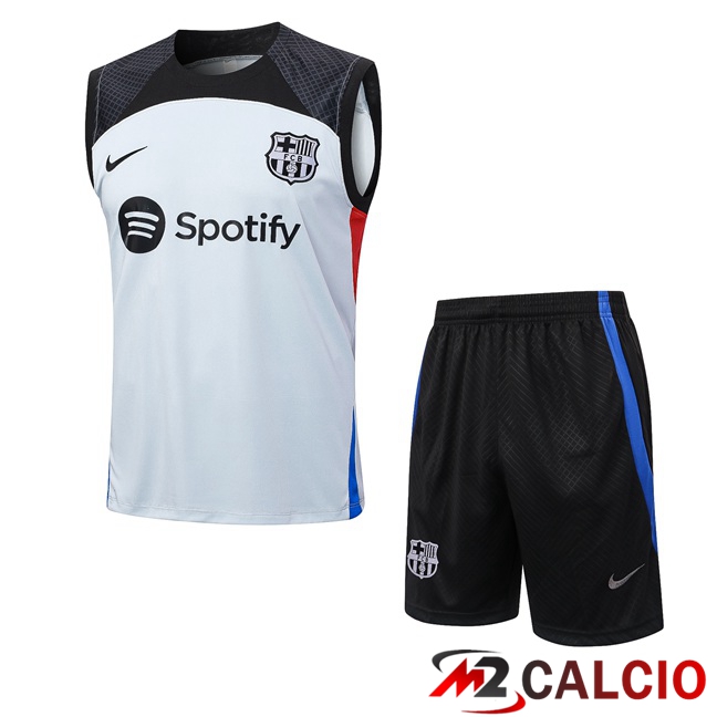 Maglie Calcio Personalizzate,Tute Calcio Squadre,Maglia Nazionale Italiana Calcio | Canotta Calcio FC Barcellona + Pantaloncini Grigio 2023/2024