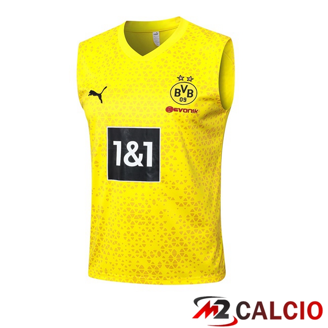 Maglie Calcio Personalizzate,Tute Calcio Squadre,Maglia Nazionale Italiana Calcio | Canotta Calcio Dortmund BVB Giallo 2023/2024
