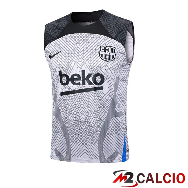 Maglie Calcio Personalizzate,Tute Calcio Squadre,Maglia Nazionale Italiana Calcio | Canotta Calcio FC Barcellona Grigio 2023/2024