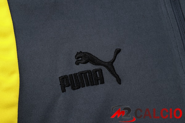 Insieme Tuta Calcio Dortmund BVB Grigio 2023/2024