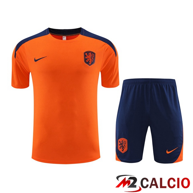 Maglie Calcio Personalizzate,Tute Calcio Squadre,Maglia Nazionale Italiana Calcio | T Shirt Allenamento Paesi Bassi + Pantaloncini Arancia 2023/2024