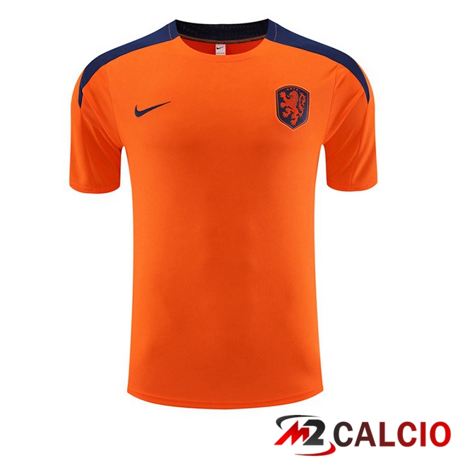 Maglie Calcio Personalizzate,Tute Calcio Squadre,Maglia Nazionale Italiana Calcio | T Shirt Allenamento Paesi Bassi Arancia 2023/2024