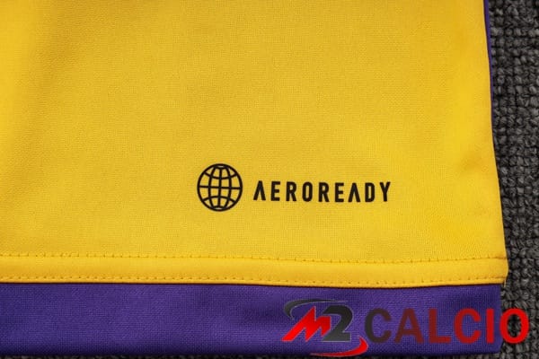 Insieme Tuta Calcio Real Madrid Giallo Viola 2024/2025
