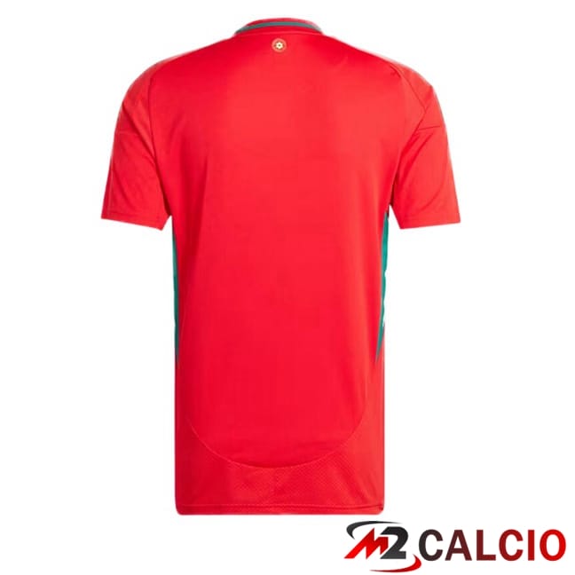 Maglie Calcio Galles Prima Rosso 2024/2025