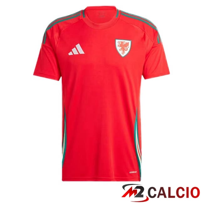 Maglie Calcio Personalizzate,Tute Calcio Squadre,Maglia Nazionale Italiana Calcio | Maglie Calcio Galles Prima Rosso 2024/2025
