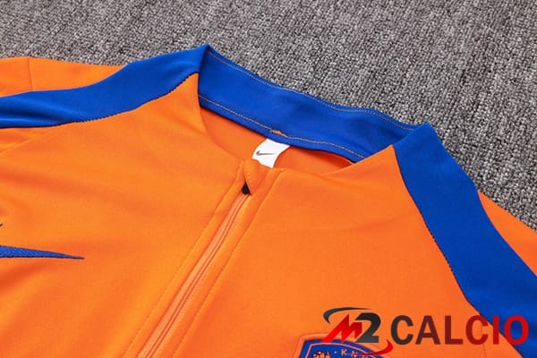 Insieme Tuta Calcio Paesi Bassi Arancia 2024/2025