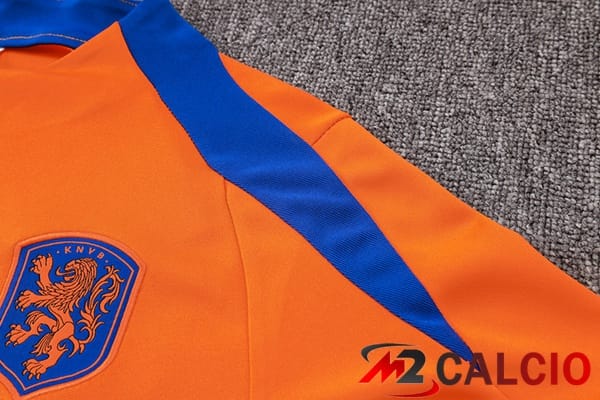 Insieme Tuta Calcio Paesi Bassi Arancia 2024/2025