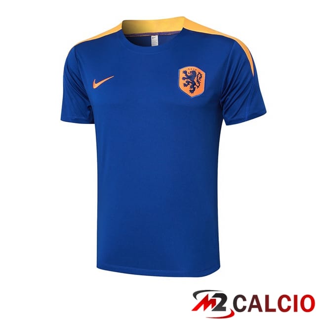 Maglie Calcio Personalizzate,Tute Calcio Squadre,Maglia Nazionale Italiana Calcio | T Shirt Allenamento Paesi Bassi Blu Reale 2024/2025