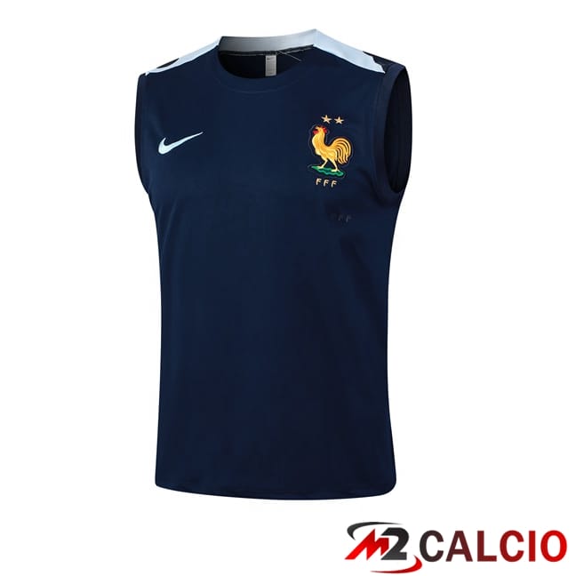 Maglie Calcio Personalizzate,Tute Calcio Squadre,Maglia Nazionale Italiana Calcio | Canotta Allenamento Francia Blu Reale 2024/2025