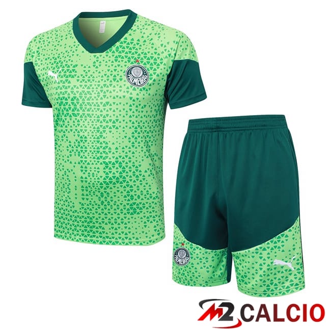 Maglie Calcio Personalizzate,Tute Calcio Squadre,Maglia Nazionale Italiana Calcio | Insieme T Shirt Allenamento Palmeiras + Pantaloncini Verde 2024/2025