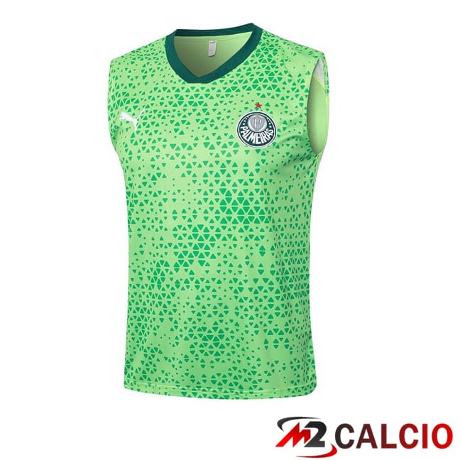 Maglie Calcio Personalizzate,Tute Calcio Squadre,Maglia Nazionale Italiana Calcio | Canotta Allenamento Palmeiras Verde 2024/2025