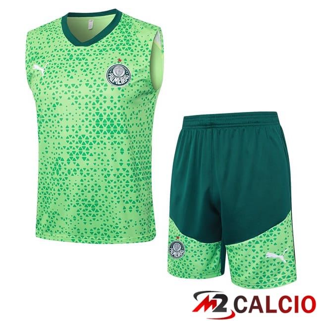 Maglie Calcio Personalizzate,Tute Calcio Squadre,Maglia Nazionale Italiana Calcio | Canotta Allenamento Palmeiras + Pantaloncini Verde 2024/2025
