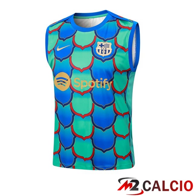 Maglie Calcio Personalizzate,Tute Calcio Squadre,Maglia Nazionale Italiana Calcio | Canotta Allenamento FC Barcellona Verde Blu 2024/2025