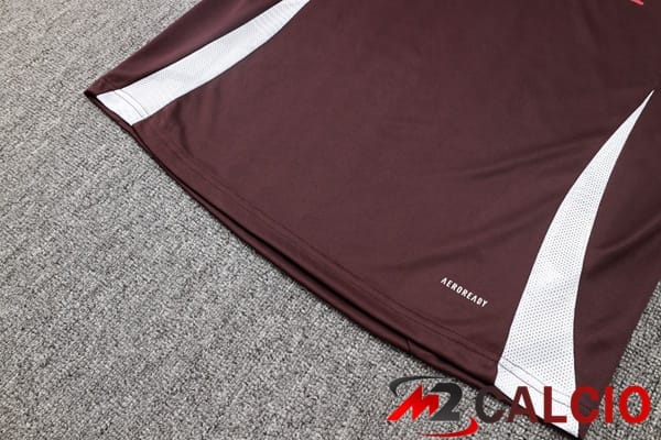 Insieme Tuta Calcio Bayern Monaco Marrone 2024/2025