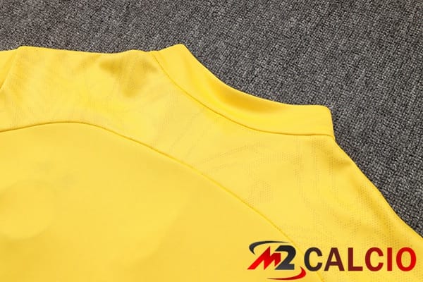 Insieme Tuta Calcio Dortmund BVB Giallo 2024/2025