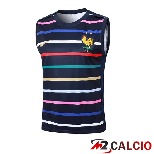 Maglie Calcio Personalizzate,Tute Calcio Squadre,Maglia Nazionale Italiana Calcio | Canotta Allenamento Francia Blu Reale 2024/2025