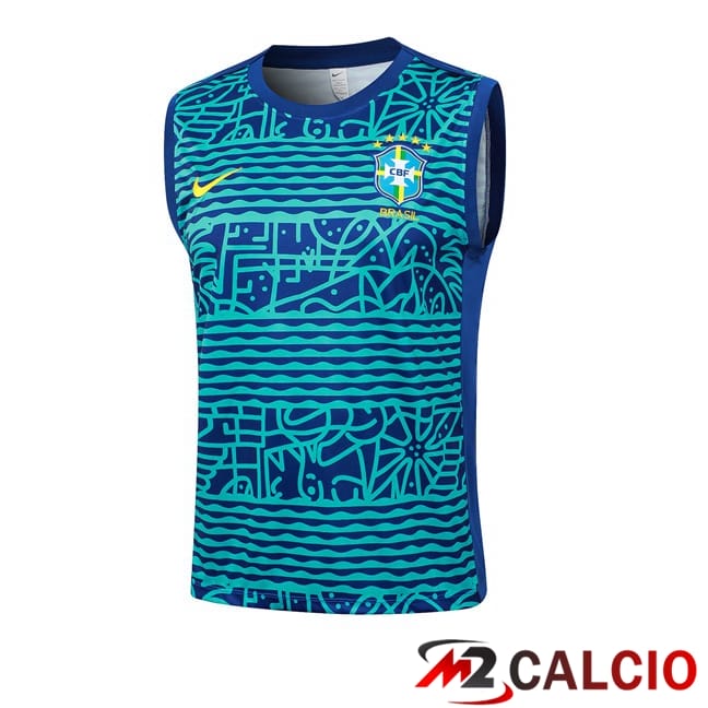 Maglie Calcio Personalizzate,Tute Calcio Squadre,Maglia Nazionale Italiana Calcio | Canotta Allenamento Brasile Blu 2024/2025