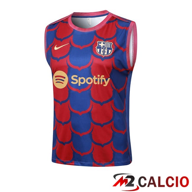 Maglie Calcio Personalizzate,Tute Calcio Squadre,Maglia Nazionale Italiana Calcio | Canotta Allenamento FC Barcellona Rosso Blu 2024/2025