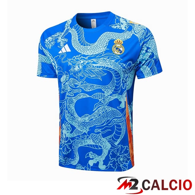 T Shirt Allenamento Real Madrid Blu 2024/2025