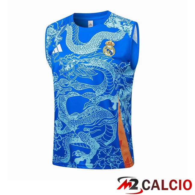 Canotta Allenamento Real Madrid Blu 2024/2025
