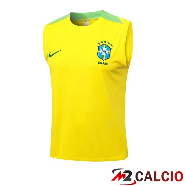 Maglie Calcio Personalizzate,Tute Calcio Squadre,Maglia Nazionale Italiana Calcio | Canotta Allenamento Brasile Giallo 2024/2025