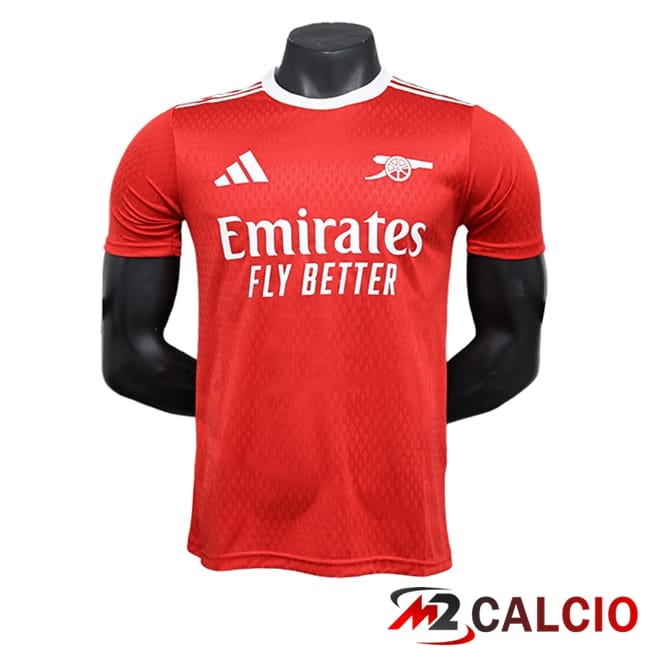 Maglie Calcio Personalizzate,Tute Calcio Squadre,Maglia Nazionale Italiana Calcio | Maglie Calcio Arsenal Edizione Speciale Rosso 2023/2024