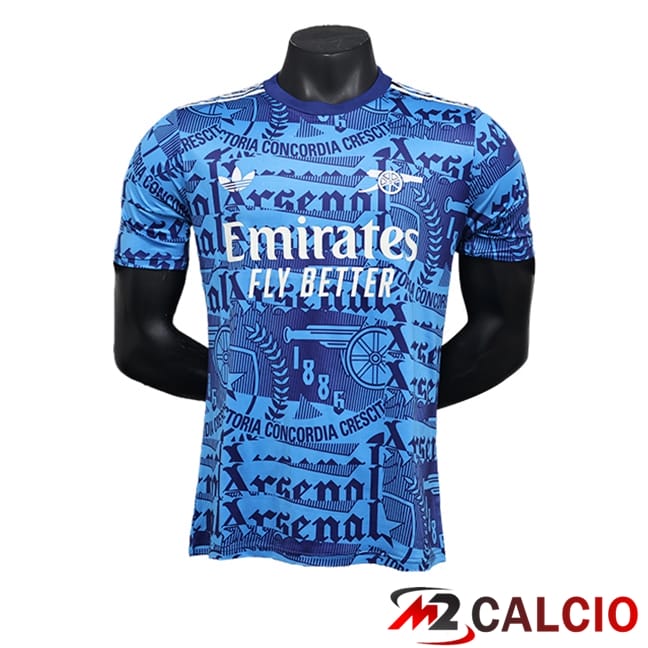 Maglie Calcio Personalizzate,Tute Calcio Squadre,Maglia Nazionale Italiana Calcio | Maglie Calcio Arsenal Special Edition Blu 2024/2025