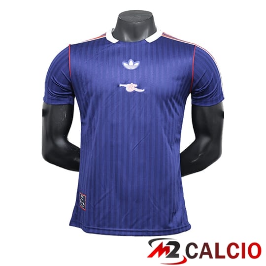 Maglie Calcio Personalizzate,Tute Calcio Squadre,Maglia Nazionale Italiana Calcio | Maglie Calcio Arsenal Special Edition Blu Marinoe 2024/2025