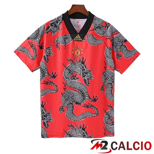 Maglie Calcio Manchester United Retro Special Edition 2019/2020